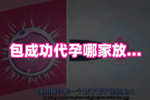 长沙助孕网站 1