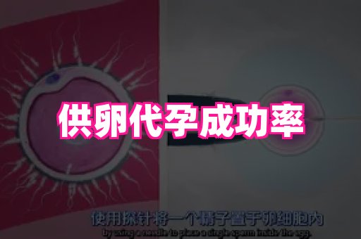 长沙助孕网站 2